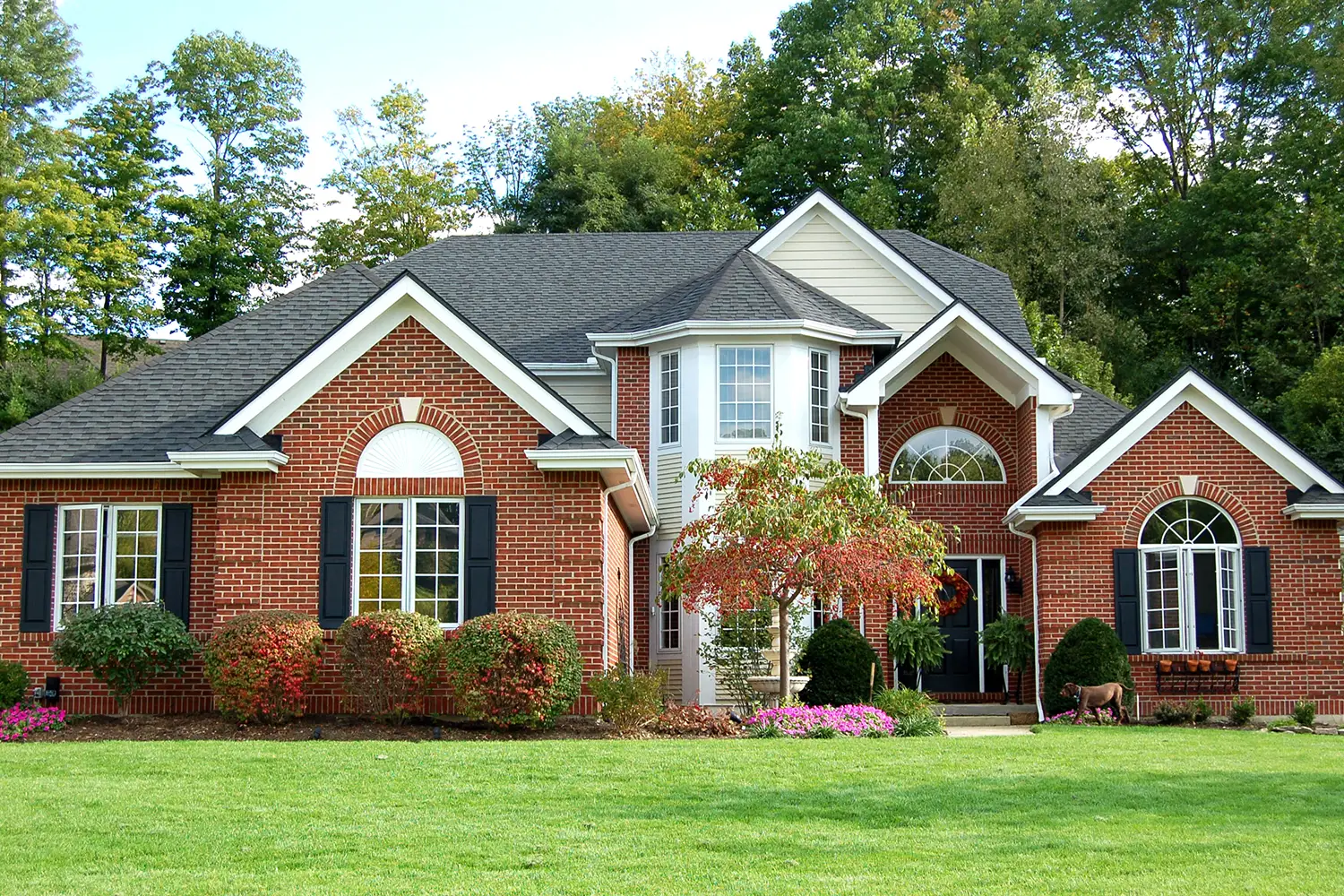 Residential Exterminating